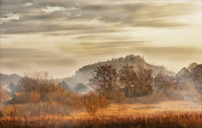 TROPHY EPHA - Terril hornu - POURBAIX MARIE-LUCE - belgium.jpg